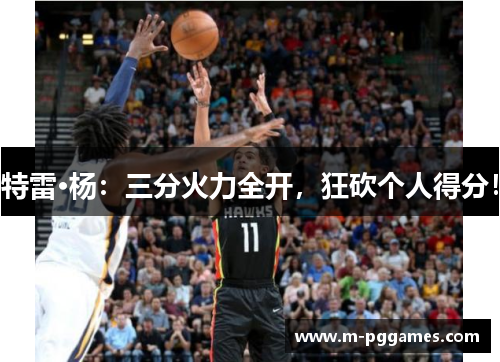 特雷·杨：三分火力全开，狂砍个人得分！