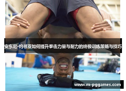 安东尼·约书亚如何提升拳击力量与耐力的终极训练策略与技巧