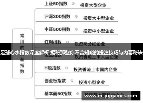 足球心水指数深度解析 揭秘那些你不曾知晓的投注技巧与内幕秘诀